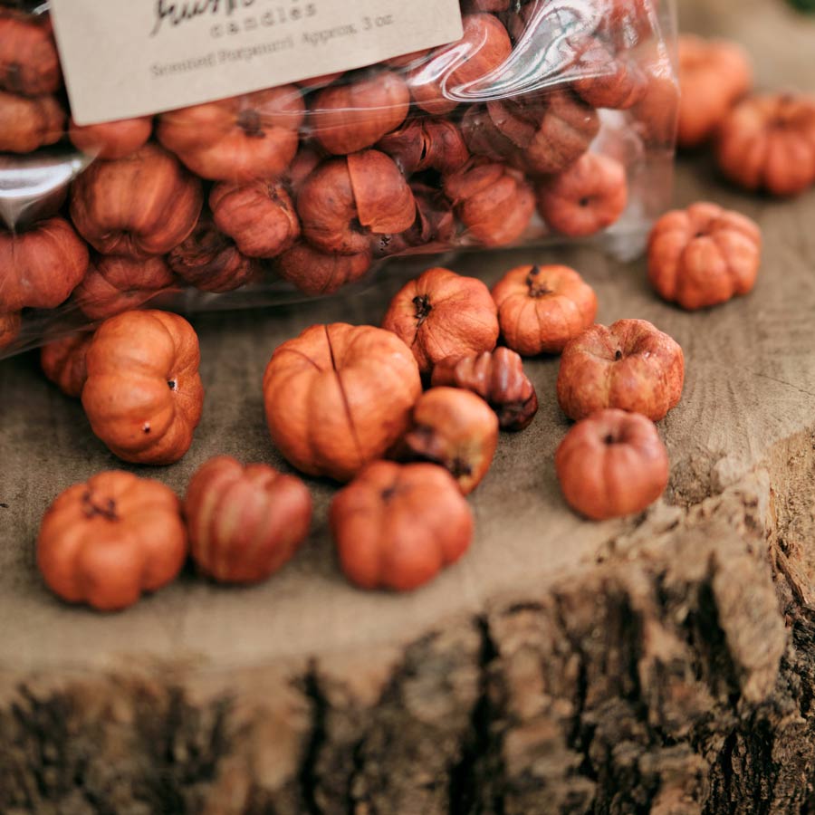Rustic Charm Candles | Pumpkin Putka Potpourri Bags