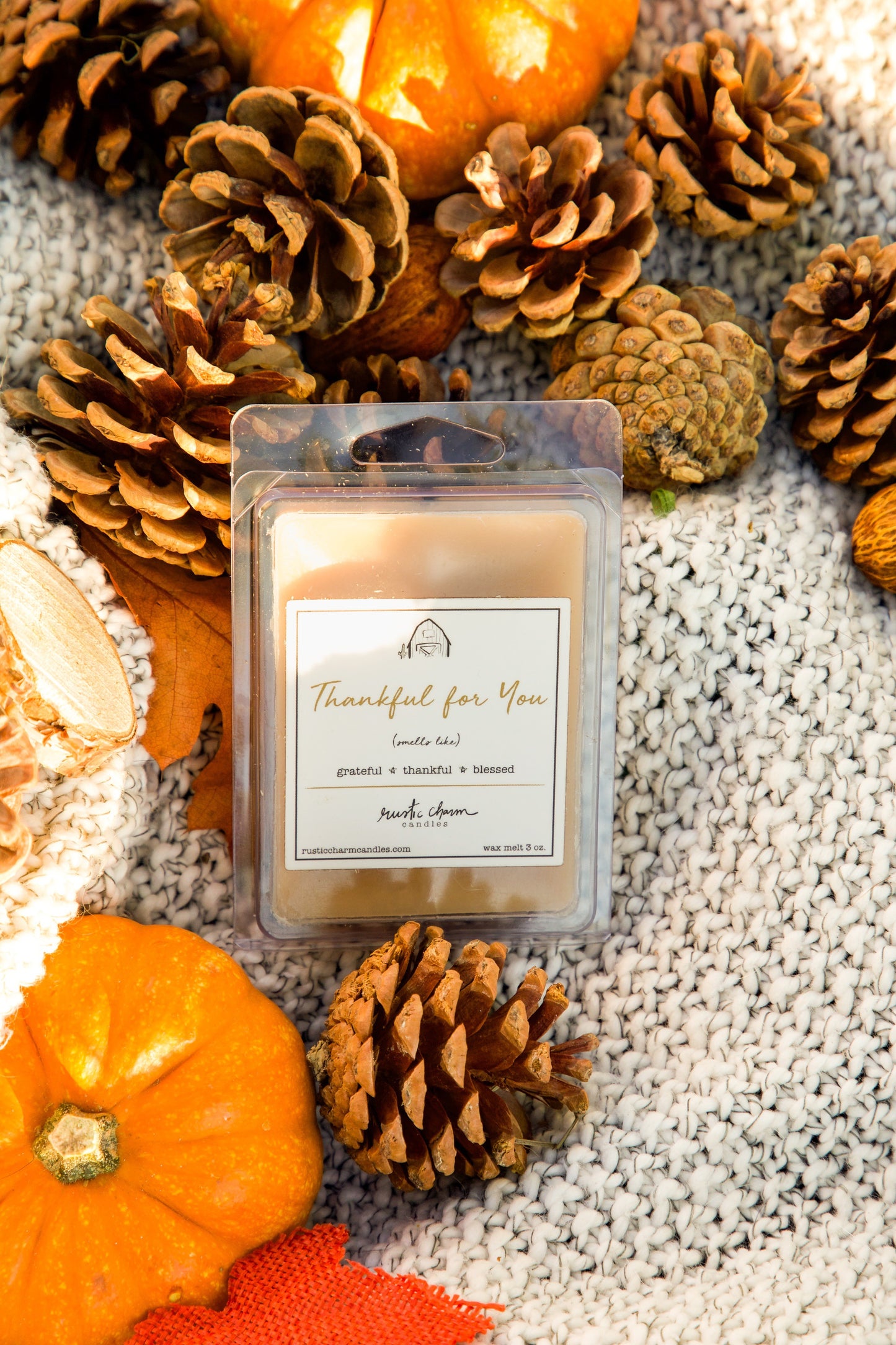 Thankful for You Wax Melt