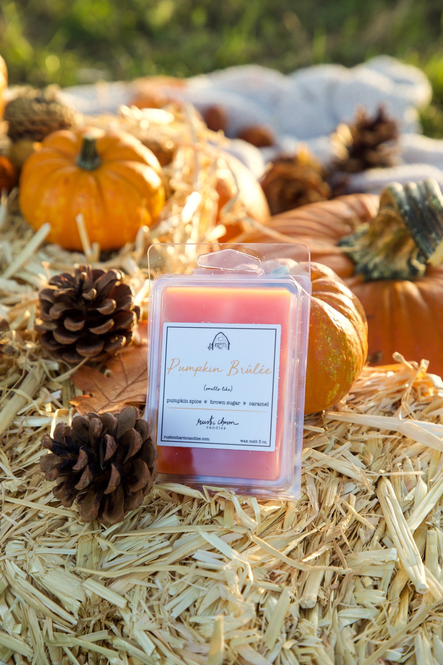 Pumpkin Brulee Wax Melt